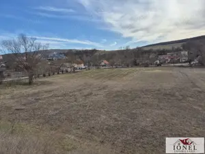 Vanzare 6336 mp teren parcelabil in Ciugud - Hapria - imagine 2