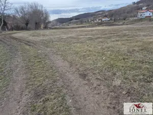 Vanzare 6336 mp teren parcelabil in Ciugud - Hapria - imagine 4