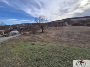 Vanzare 6336 mp teren parcelabil in Ciugud - Hapria - imagine 3