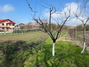 Casa -3 camere , Gruiu - Calarasi,  teren 1476 mp - imagine 4