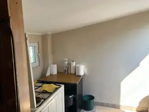 Casa -3 camere , Gruiu - Calarasi,  teren 1476 mp - imagine 17