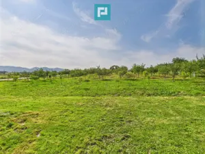 Casă cu teren de 4707 mp în Hălmăgel, județul Arad - imagine 16