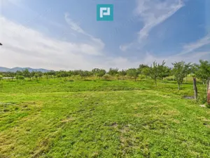 Casă cu teren de 4707 mp în Hălmăgel, județul Arad - imagine 15
