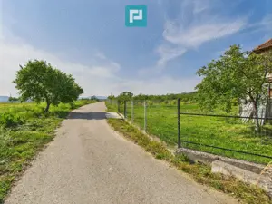 Casă cu teren de 4707 mp în Hălmăgel, județul Arad - imagine 13