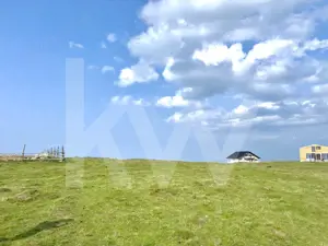 Teren Intravilan de 1003 mp în Păltiniș – Priveliste Unică, Locație de Top!