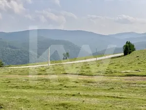 Teren Intravilan de 1003 mp în Păltiniș – Priveliste Unică, Locație de Top! - imagine 6