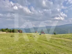 Teren Intravilan de 1003 mp în Păltiniș – Priveliste Unică, Locație de Top! - imagine 4