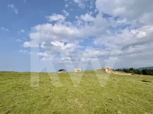 Teren Intravilan de 1003 mp în Păltiniș – Priveliste Unică, Locație de Top! - imagine 2