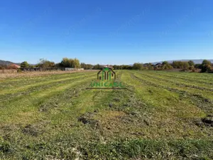 Teren intravilan/Str Balciului/Copacelu - imagine 4