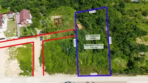 Teren de Vânzare 1450mp la Asfalt - Zona Plopii Fără Soț, Bucium-Iași