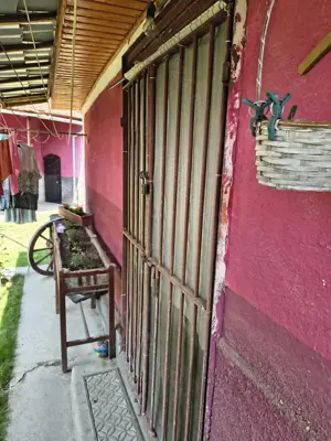 Gratii magazin bar - imagine 3