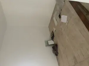 Casa batraneasca Zanesti - imagine 4