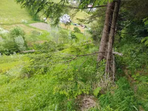 Teren de vanzare in Bicazu Ardelean sau schimb auto