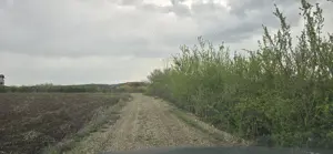   OCAZIE RARĂ   Teren PREMIUM în Snagov, aproape de Snagov Plaza și Bucuresti  - imagine 2