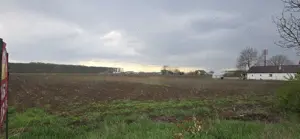   OCAZIE RARĂ   Teren PREMIUM în Snagov, aproape de Snagov Plaza și Bucuresti  - imagine 6