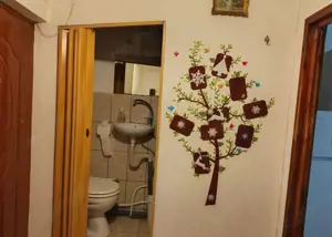 300Euro! Garsoniera in zona Piata Nicolina, et 2 - imagine 5