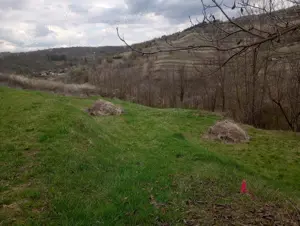 PF vand teren 771 mp, sat Tauti, Cluj - imagine 3