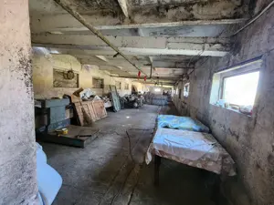 Închiriez în Sanandrei teren și hala 