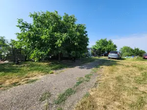 Închiriez în Sanandrei teren și hala  - imagine 5