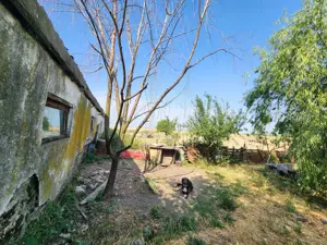 Închiriez în Sanandrei teren și hala  - imagine 6