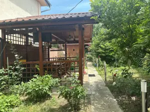 Agentia imobiliara VIGAFON vinde casa 3 camere Paltinis - imagine 13