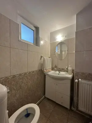 Agentia imobiliara VIGAFON vinde casa 3 camere Paltinis - imagine 9