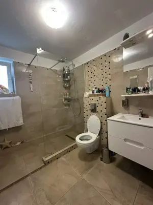 Agentia imobiliara VIGAFON vinde casa 3 camere Paltinis - imagine 8