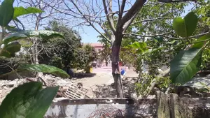 Teren foarte bun pentru construcție casă în Voluntari - imagine 18