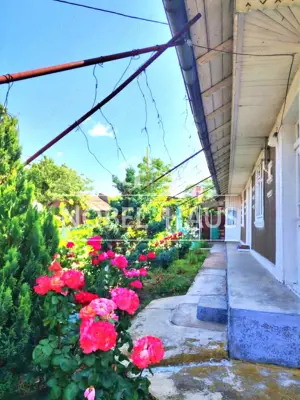 Casa la tara si teren intravilan, in sat Carja, jud Vaslui - imagine 4