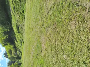 Teren Cabana  Vacanta Zona montana  - imagine 4