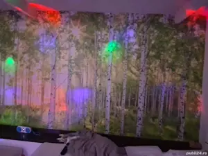 Regim hotelier!!! - imagine 3 Regim hotelier!!! - imagine 3