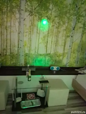 Regim hotelier!!! - imagine 2 Regim hotelier!!! - imagine 2