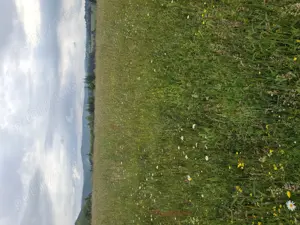 Vând teren extravilan în Vama Buzaului - imagine 3