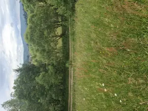 Vând teren extravilan în Vama Buzaului - imagine 5
