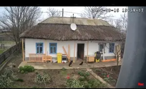 Imobil + teren Chilia Veche