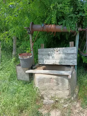 Vand tern pensiune Comanesti - imagine 6