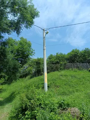 Vand tern pensiune Comanesti - imagine 2