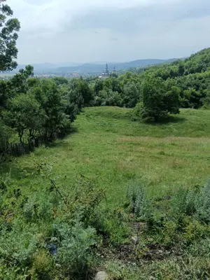 Vand tern pensiune Comanesti - imagine 4