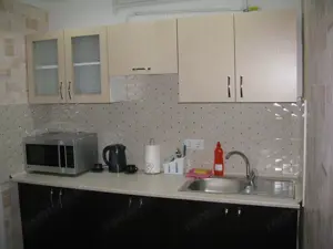 Garsoniera de inchiriat in zona Timpuri Noi - imagine 3