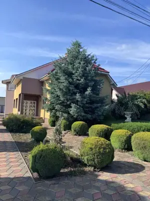 Casa individuala, teren 2500mp, Siret - imagine 3 Casa individuala, teren 2500mp, Siret - imagine 3