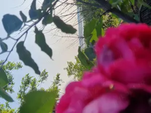 Teren 750 mp  intravilan  Somova 