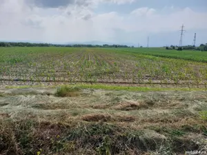 Teren extravilan de vânzare 