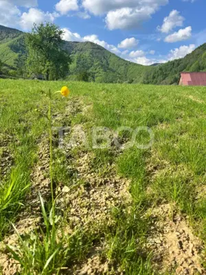 Teren 1059 mp in Raul Sadului– Natura  liniste si investitie - imagine 5