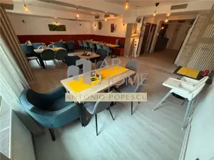 Oportunitate de investitie imobil si terasa, in Ploiesti, zona Albert - imagine 13