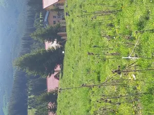 Vând teren intravilan,zona Cheile Tătarului platou Peștera Padina,500 mp.