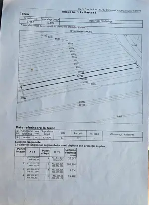 Vant teren extravilan zona centura de sud a Craiovei 