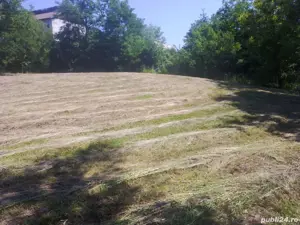 Vind loc casă în comuna Copăceni Satu Bălteni la strada principală 40 de ari cu cadastru făcut - imagine 5