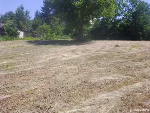 Vind loc casă în comuna Copăceni Satu Bălteni la strada principală 40 de ari cu cadastru făcut - imagine 9