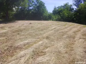 Vind loc casă în comuna Copăceni Satu Bălteni la strada principală 40 de ari cu cadastru făcut - imagine 8