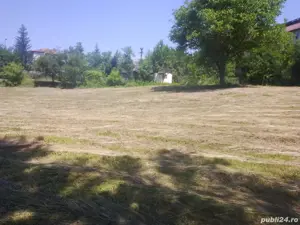 Vind loc casă în comuna Copăceni Satu Bălteni la strada principală 40 de ari cu cadastru făcut - imagine 4